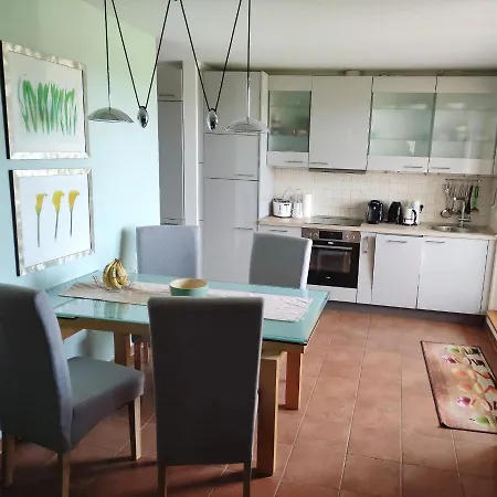 Albatros App 04 Dg R