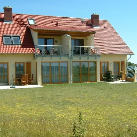 Albatros App 04 Dg R *