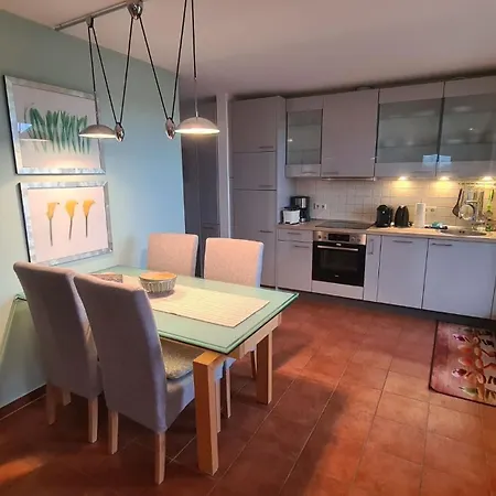 Albatros App 04 Dg R *