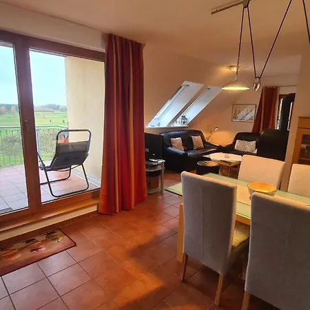 Albatros App 04 Dg R